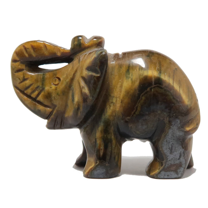 golden tigers eye elephant