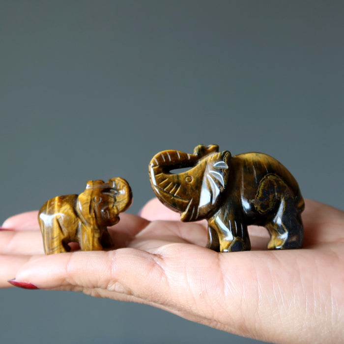 golden tigers eye elephants