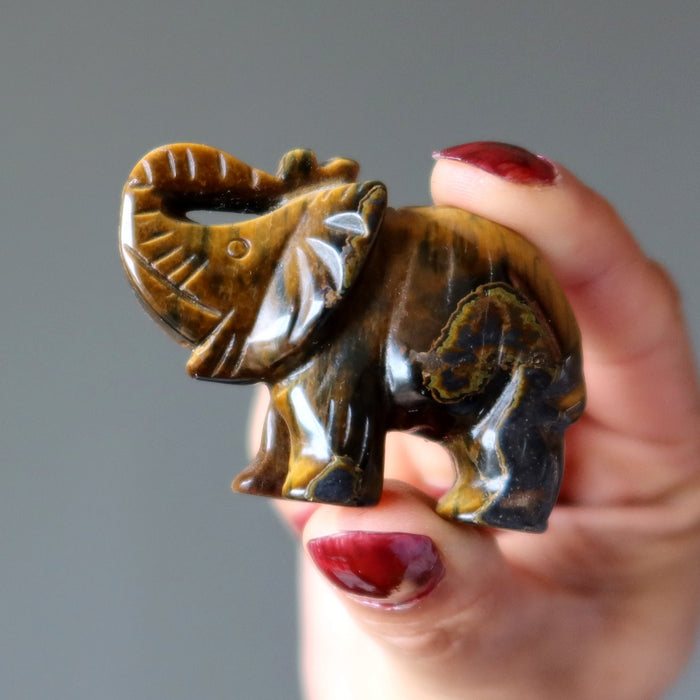 golden tigers eye elephant