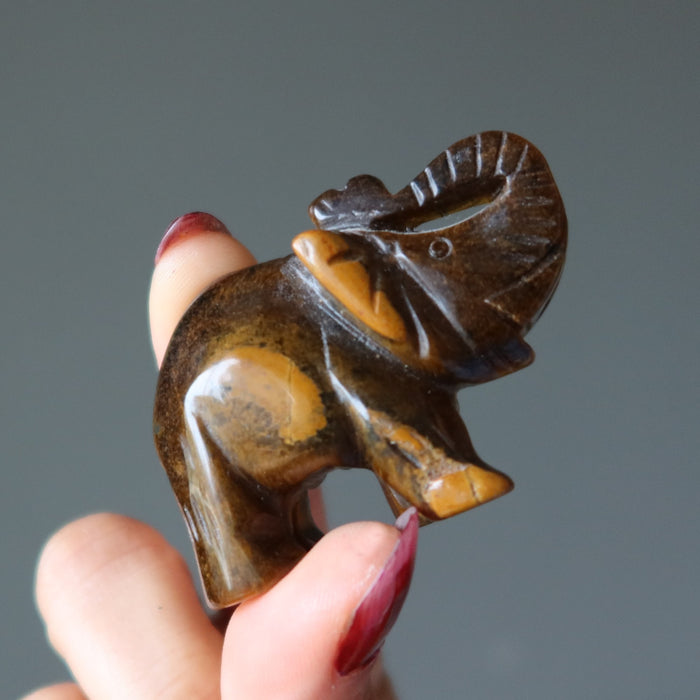 golden tigers eye elephant