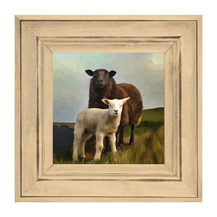 Two Sheep