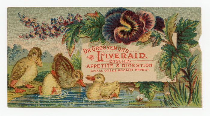 Victorian Dr. Grosvenor's Liveraid, Quack Medicine Trade Card || Ducks