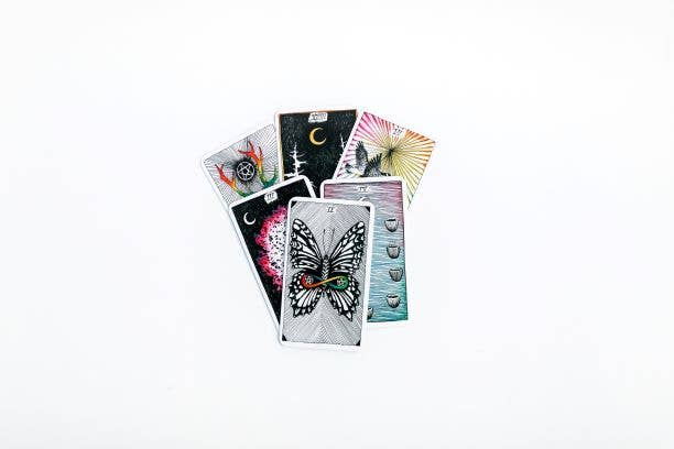 Wild Unknown Pocket Tarot